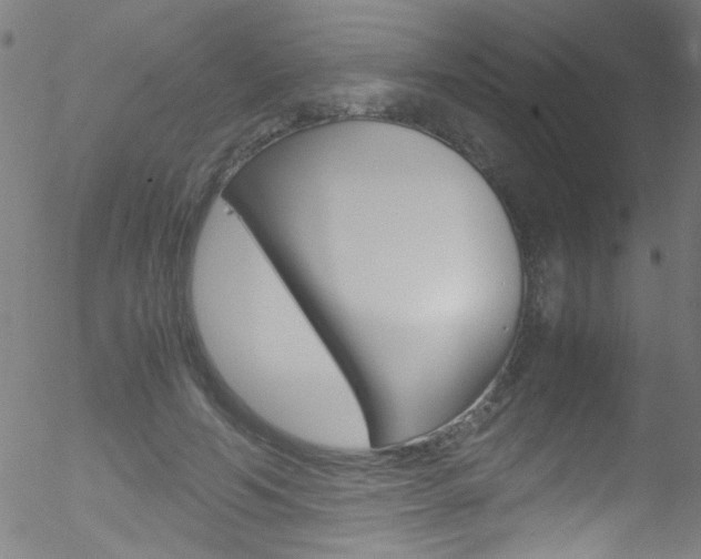 X0000052610594200507010941