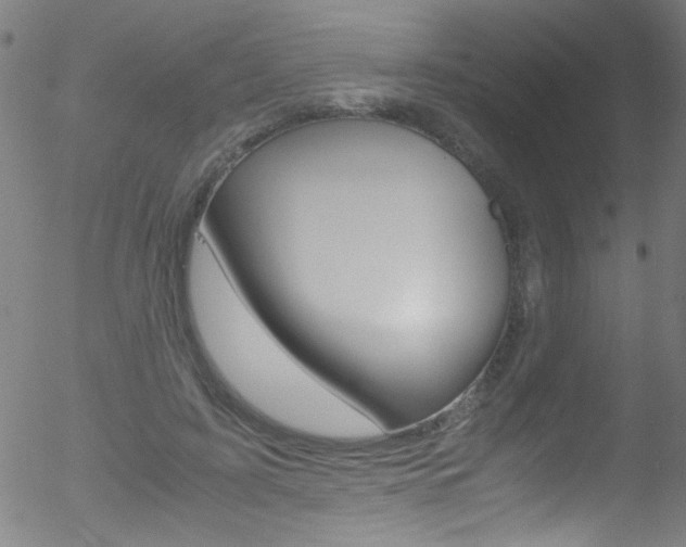 X0000052610595200507010941