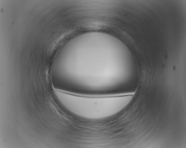 X0000052610596200507010941