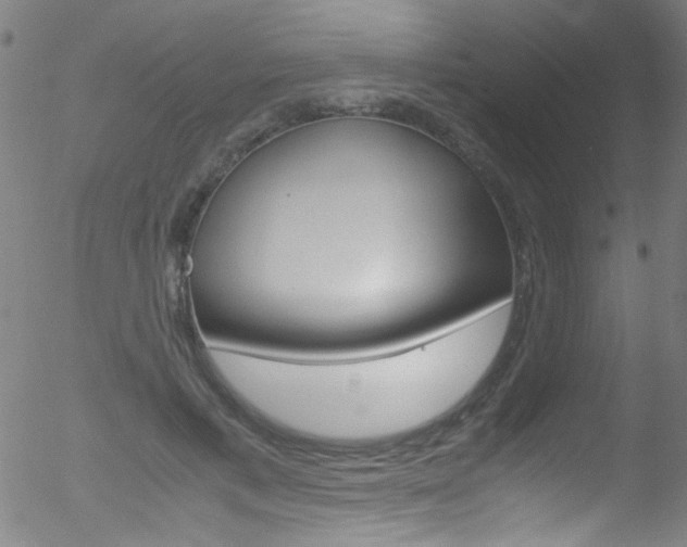 X0000052610597200507010941