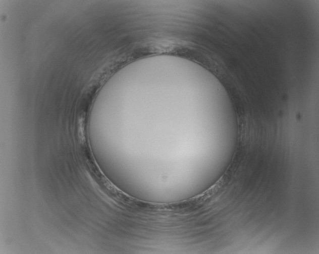 X0000052610598200507010941