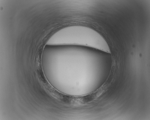 X0000052610599200507010941