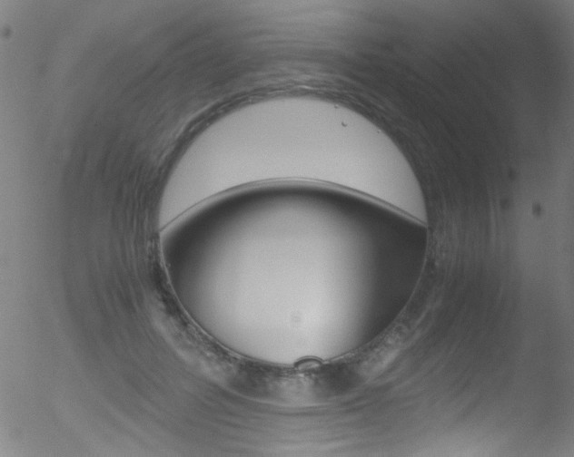 X0000052610600200507010941