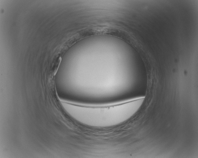 X0000052610601200507010941