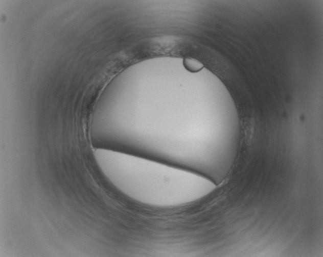 X0000052610602200507010941