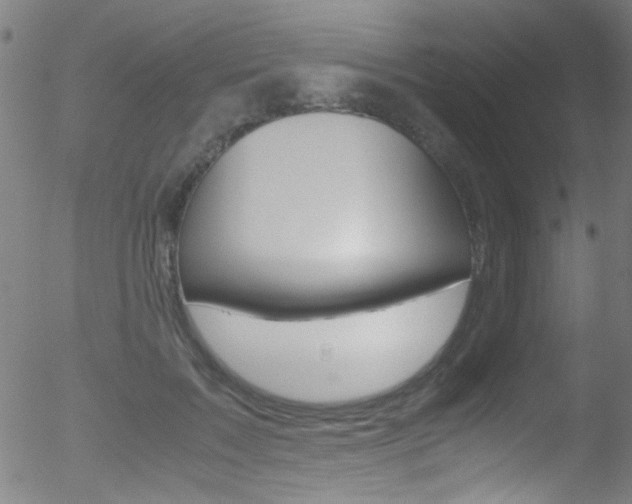 X0000052610603200507010941