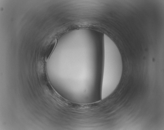 X0000052610604200507010941