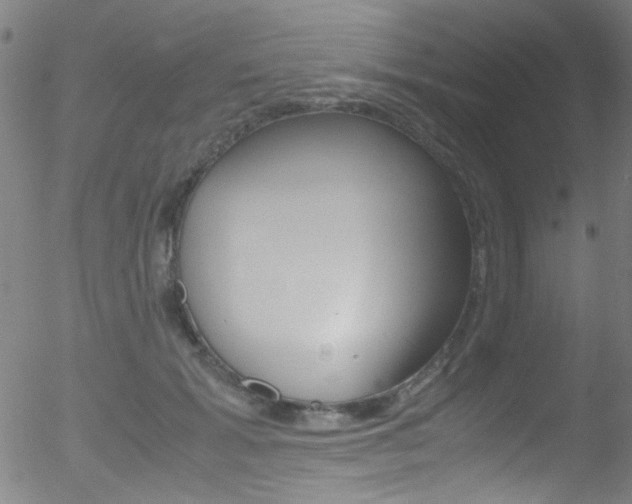 X0000052610605200507010941