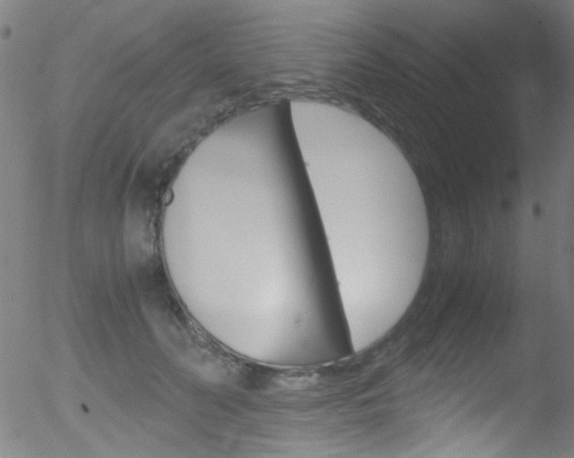 X0000052610606200507010941