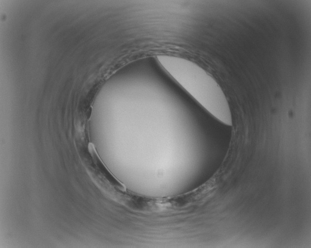 X0000052610607200507010941