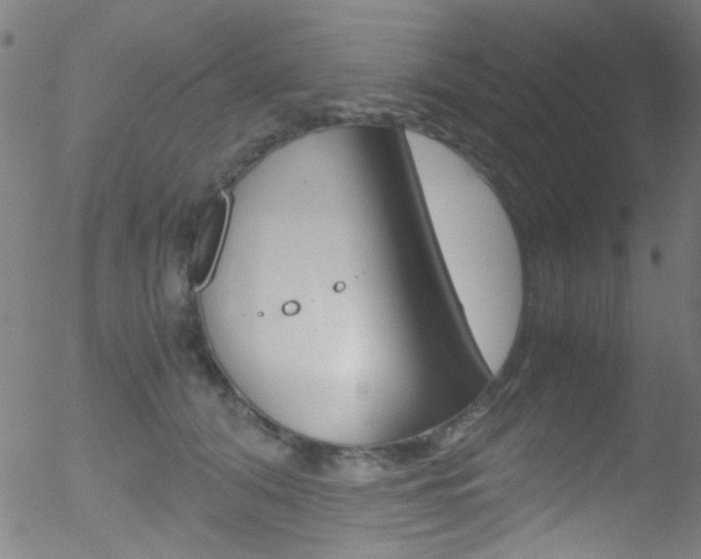 X0000052610608200507010941