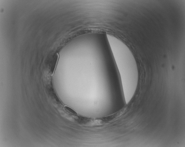 X0000052610609200507010941