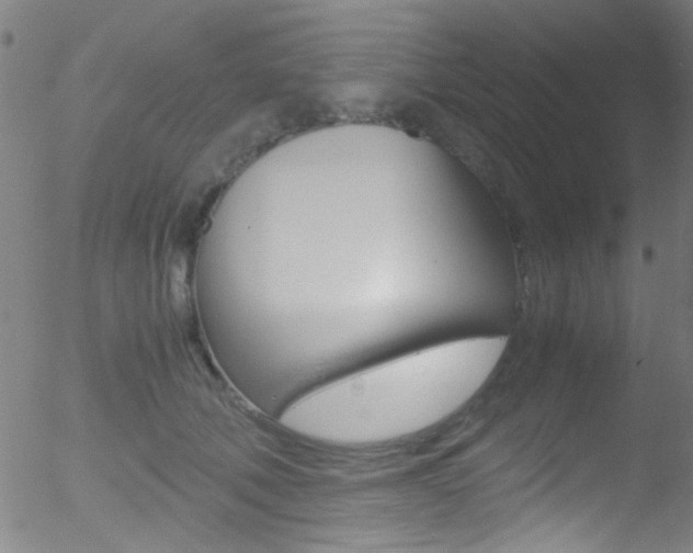 X0000052610610200507010941