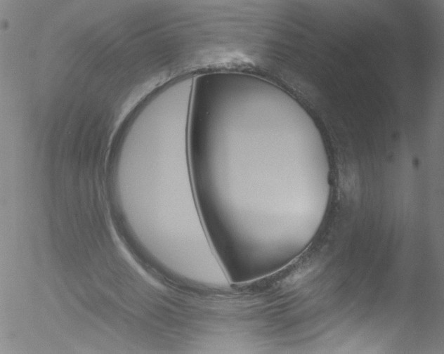 X0000052610630200507010940