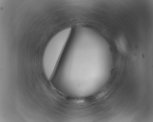X0000052610651200507010940