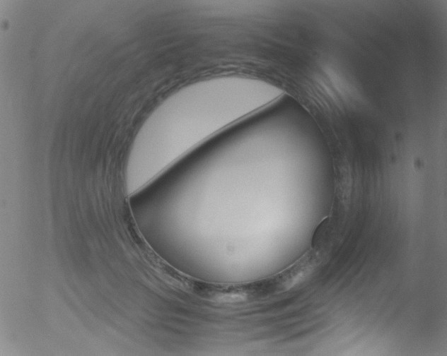 X0000052610653200507010940