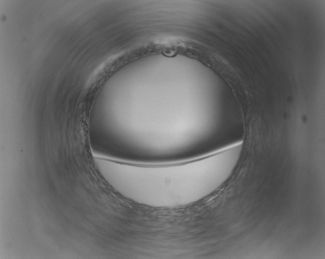 X0000052610776200507010938