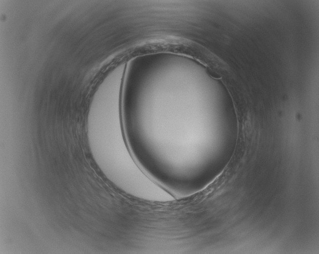 X0000052610822200507010936
