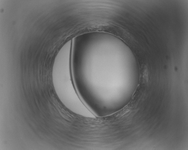 X0000052610868200507010936