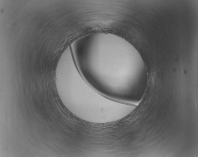 X0000052611012200507010933