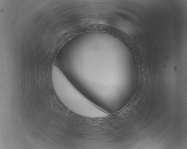 X0000052611013200507010933