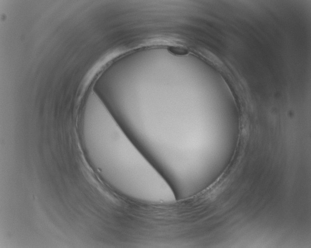 X0000052611043200507010934