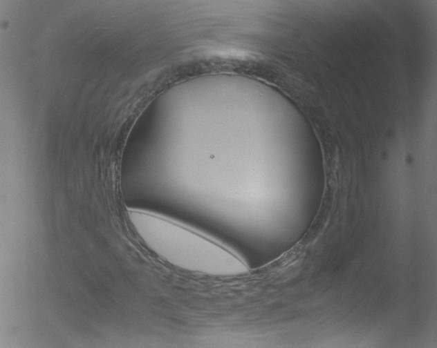 X0000052611061200507010933