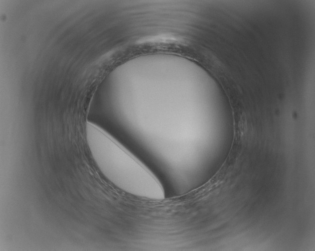 X0000052611062200507010933