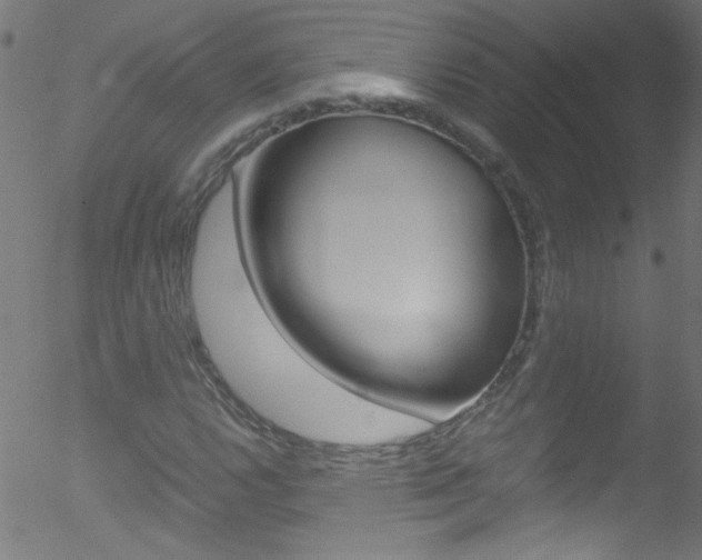 X0000052611112200507010932