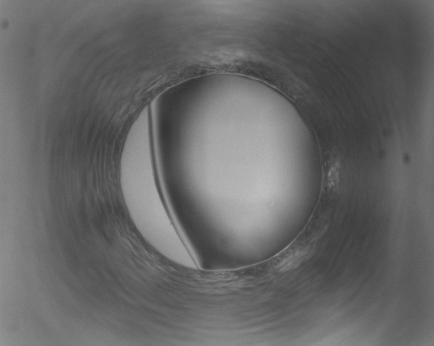 X0000052611156200507010932