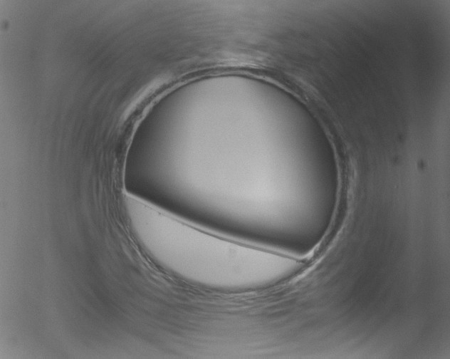 X0000052611163200507010931