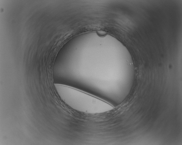 X0000052611201200507010930