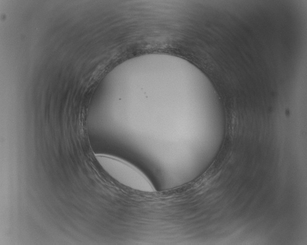 X0000052611250200507010930