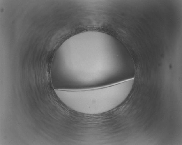X0000052611252200507010930