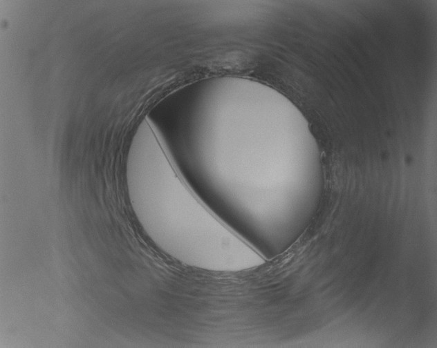 X0000052611297200507010929