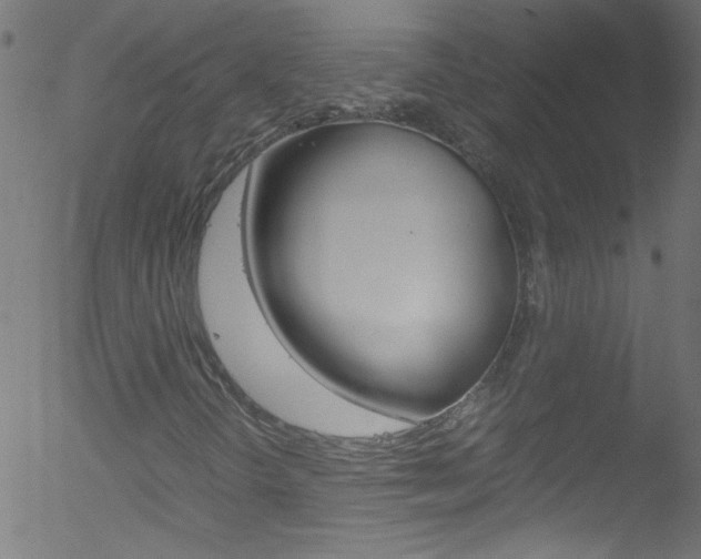 X0000052611298200507010929