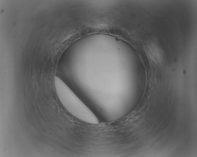 X0000052611301200507010929