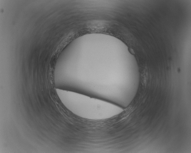 X0000052611346200507010928