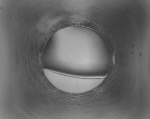X0000052611347200507010928