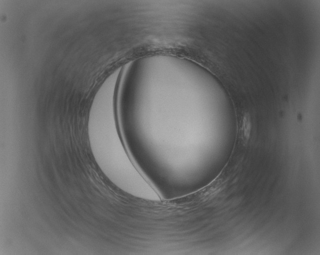 X0000052611348200507010928