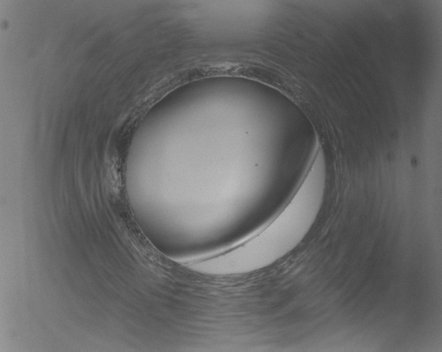 X0000052611394200507010927