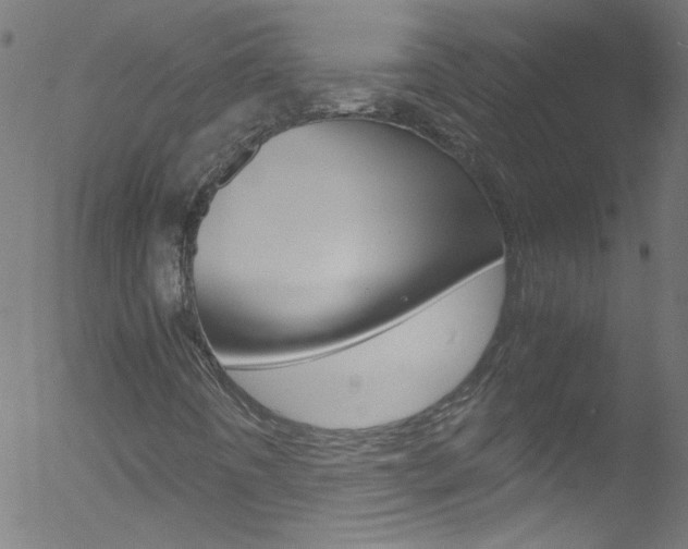 X0000052611442200507010927