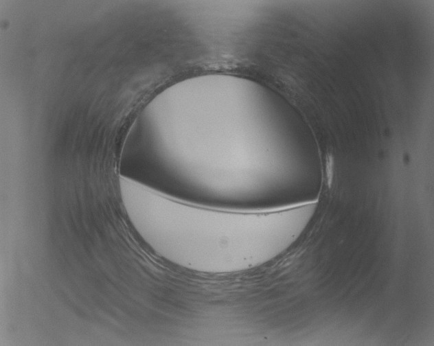 X0000052611444200507010927