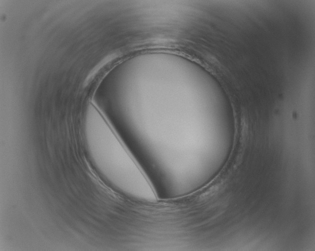 X0000052611450200507010927