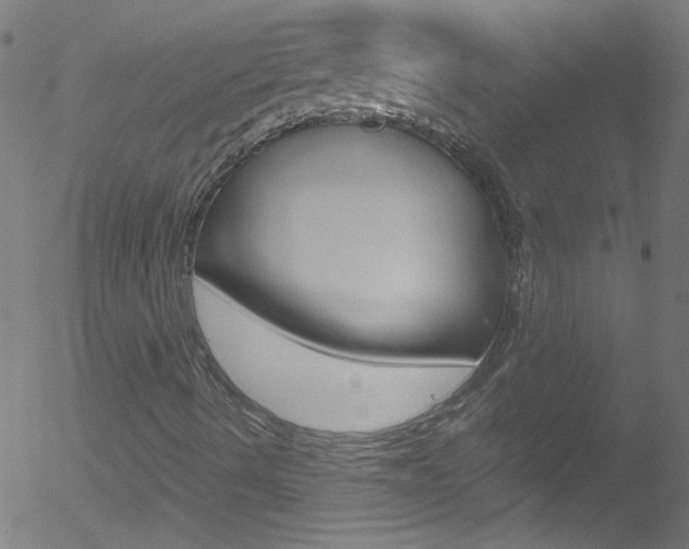 X0000052611490200507010925