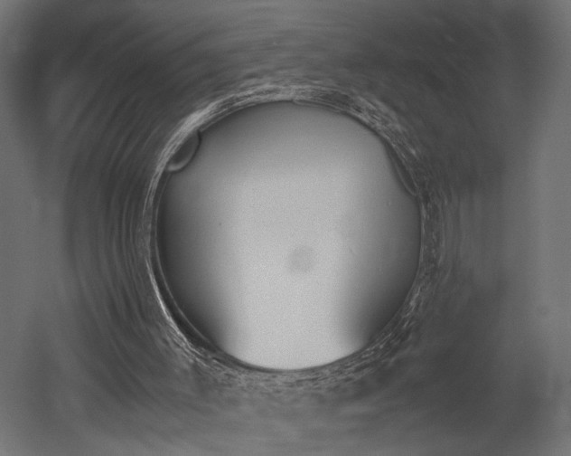 X0000052610003200507011239