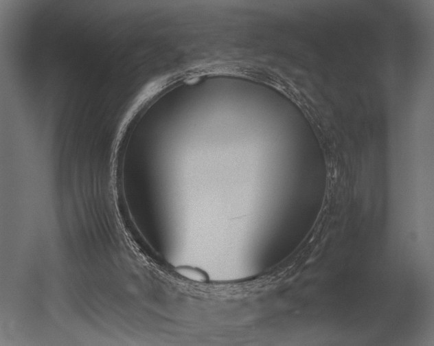 X0000052610006200507011239