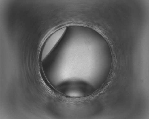 X0000052610007200507011239