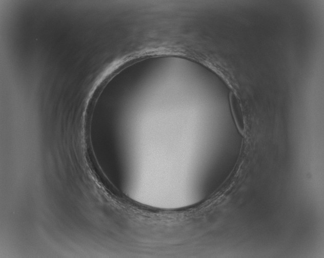 X0000052610008200507011239