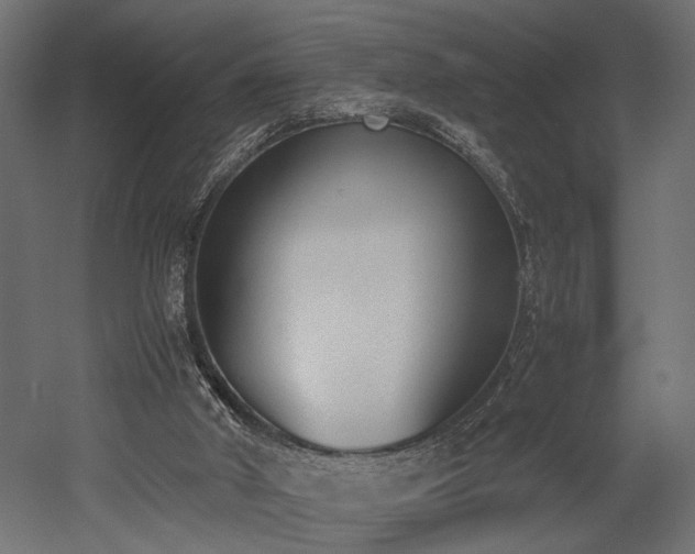 X0000052610010200507011239